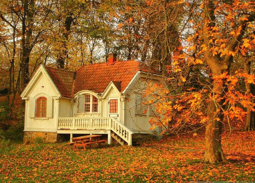 beautiful autumn home wallpapers for mobile screen  picture